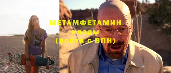 прущие грибы Волосово