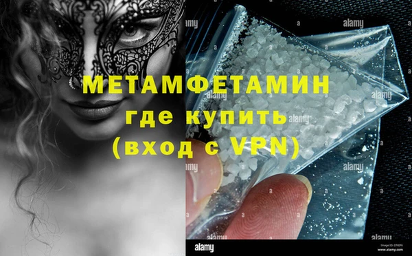 прущие грибы Волосово