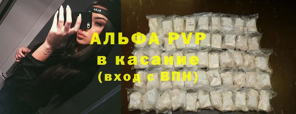 прущие грибы Волосово