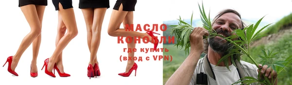 молекула духа Сясьстрой