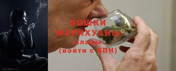 прущие грибы Волосово