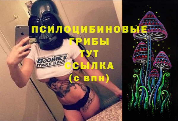 твердый Володарск