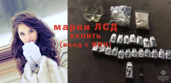 прущие грибы Волосово