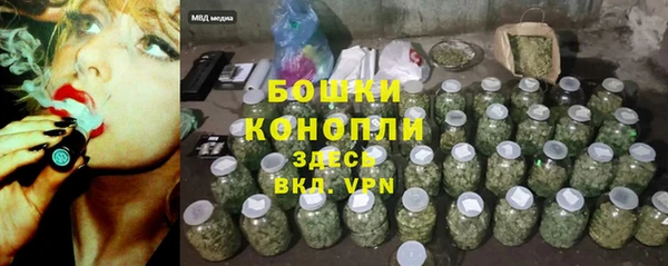 прущие грибы Волосово