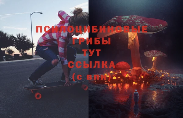 прущие грибы Волосово