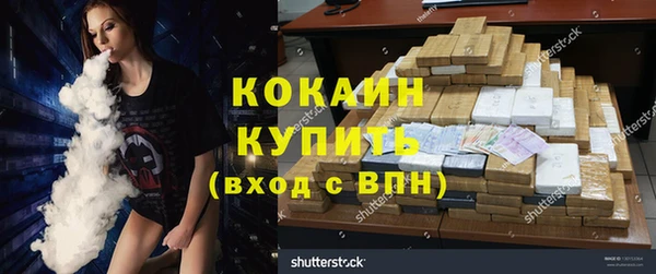 прущие грибы Волосово